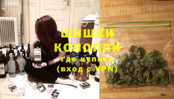 дурь Алзамай